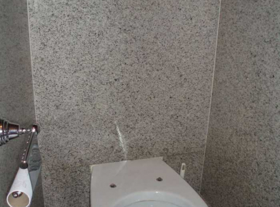wc suspendu